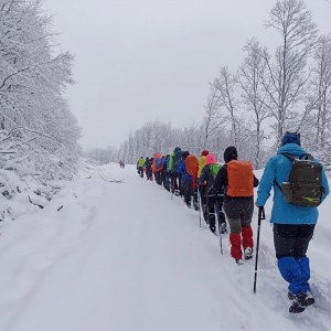 GÜVENLİ-FINDICAK KÖYÜ SPORTİF DOĞA YÜRÜYÜŞÜ