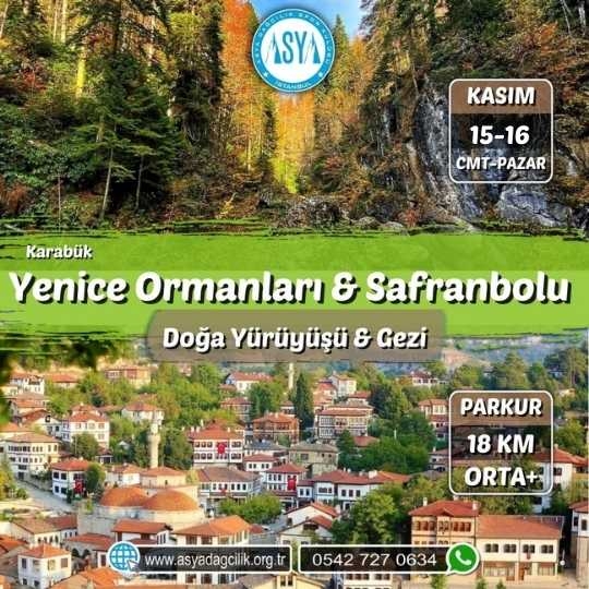 YENİCE ORMANLARI & SAFRANBOLU 