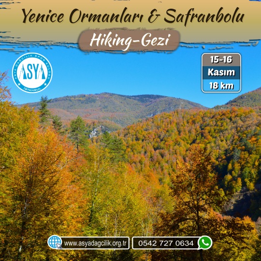 YENİCE ORMANLARI & SAFRANBOLU 